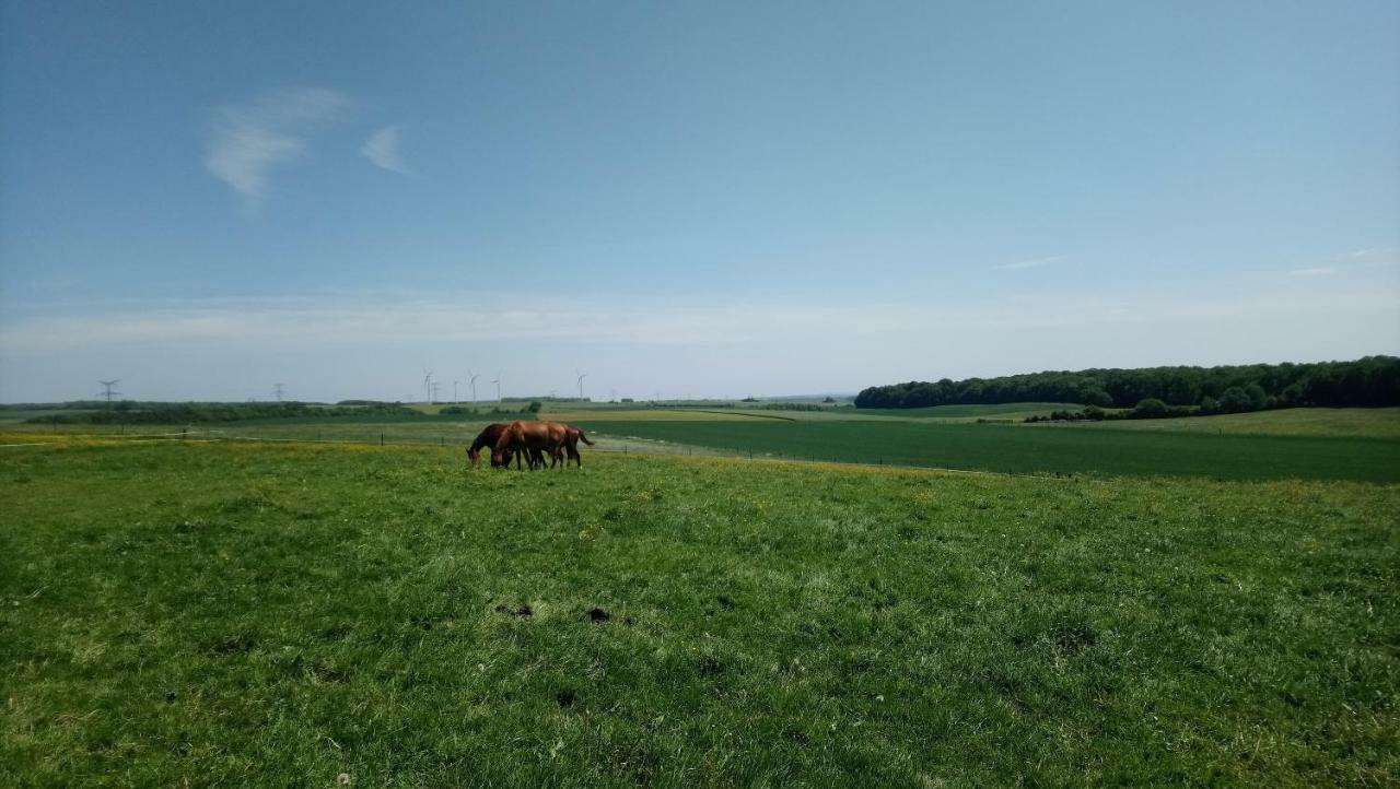 ホテル Jad Ranch Raucourt-et-Flaba エクステリア 写真